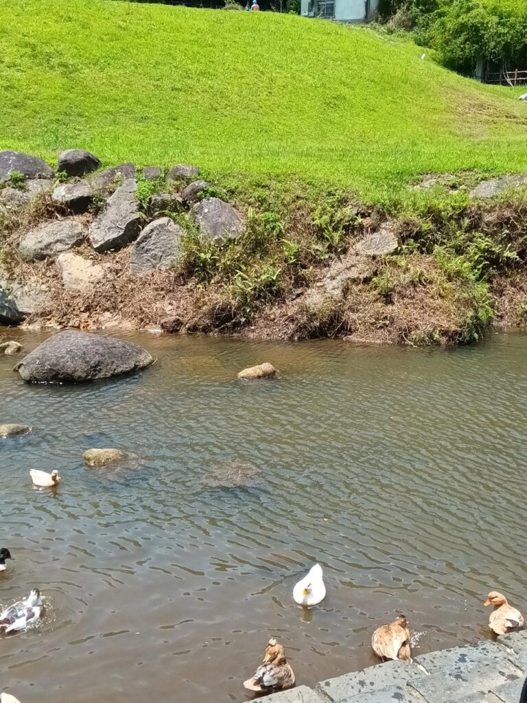 Dagou Riverside Park